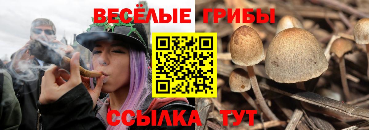 Псилоцибиновые грибы мухоморы  купить   Скопин  Галлюциногенные грибы мицелий  Вход с VPN 